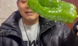 网红吃瓜视频干仗,一场网络狂欢背后的真相